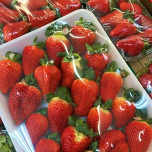 Morango Esp Bandeja Un Gg