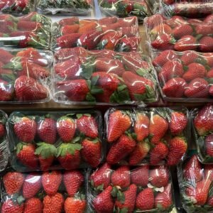 Morango 1 Camada Bandeja Un