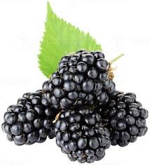 Amora Especial Band Un