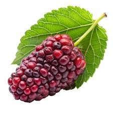 Amora Nacional Band Un