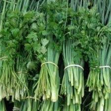 Cheiro Verde Maco Un