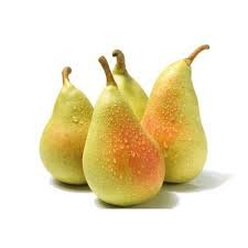 Pera Ercoline Band Un