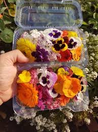 Flor Comestivel Band Un