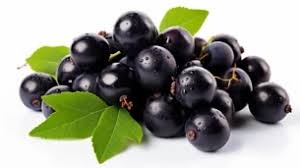 Jabuticaba Kg