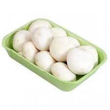 Cogumelo Paris Band 300g