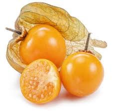 Physalis Band Un