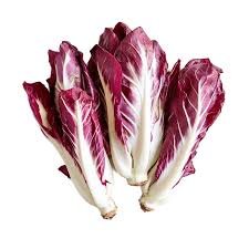 Radicchio Roxo Band