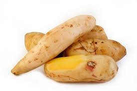 Batata Yacon Kg