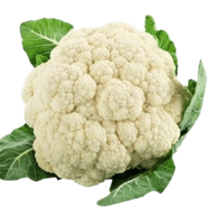Couve Flor Un
